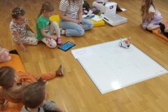 IMG_20250414_112803