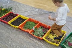 IMG_20251001_100815 IMG_20251001_100815