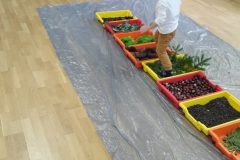 IMG_20251001_100838 IMG_20251001_100838