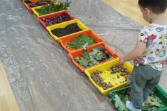 IMG_20251001_100906 IMG_20251001_100906