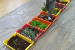 IMG_20251001_100925 IMG_20251001_100925