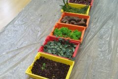 IMG_20251001_100943 IMG_20251001_100943