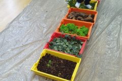 IMG_20251001_100956 IMG_20251001_100956