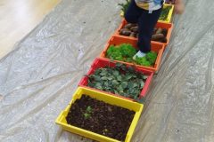 IMG_20251001_101002 IMG_20251001_101002