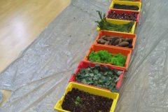 IMG_20251001_101045 IMG_20251001_101045