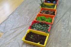 IMG_20251001_101057 IMG_20251001_101057