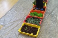 IMG_20251001_101102 IMG_20251001_101102