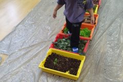 IMG_20251001_101106 IMG_20251001_101106