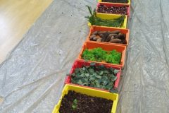 IMG_20251001_101123 IMG_20251001_101123