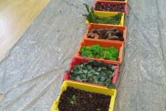 IMG_20251001_101136 IMG_20251001_101136