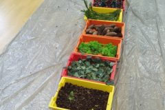 IMG_20251001_101146 IMG_20251001_101146