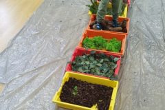 IMG_20251001_101154 IMG_20251001_101154