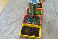 IMG_20251001_101204 IMG_20251001_101204