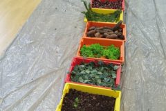 IMG_20251001_101215 IMG_20251001_101215