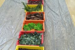 IMG_20251001_101330
