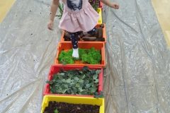 IMG_20251001_101415
