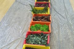 IMG_20251001_101431