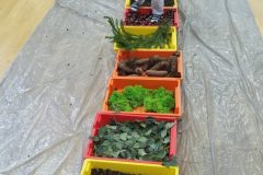IMG_20251001_101438