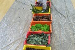 IMG_20251001_101441