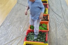 IMG_20251001_101453