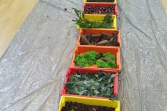 IMG_20251001_101504