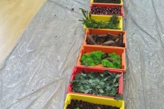 IMG_20251001_101509