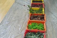 IMG_20251001_101555
