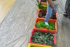 IMG_20251001_101612