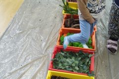 IMG_20251001_101615