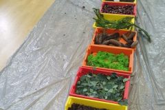 IMG_20251001_101703