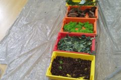 IMG_20251001_101954