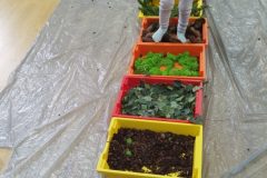 IMG_20251001_101959