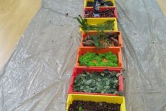 IMG_20251001_102053_1