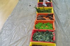 IMG_20251001_102118