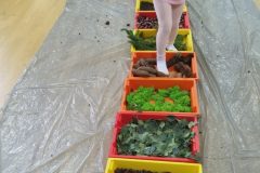 IMG_20251001_102123