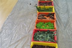 IMG_20251001_102142