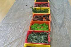 IMG_20251001_102212