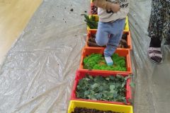IMG_20251001_102321