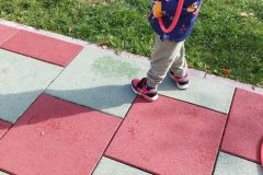 IMG_20251001_105023