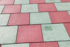 IMG_20251001_105505