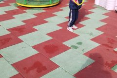 IMG_20251001_105955
