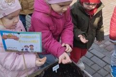 IMG_20240320_112142