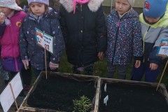 IMG_20240320_121914