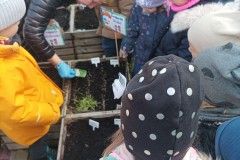 IMG_20240320_122056