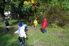 DSC00337
