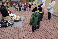 IMG_20211126_113455