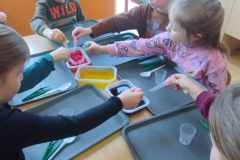 IMG_20260220_110602