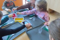 IMG_20260220_110605