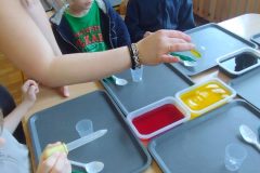 IMG_20260220_110615