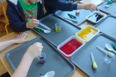 IMG_20260220_110737